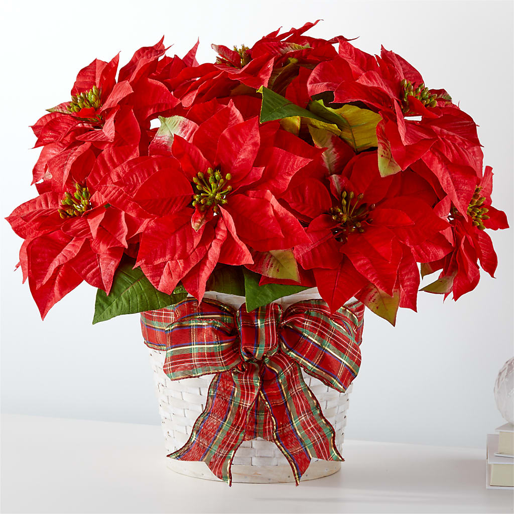 Happiest Holidays Poinsettia – Indiana Floral/flower Boutique, Indiana PA