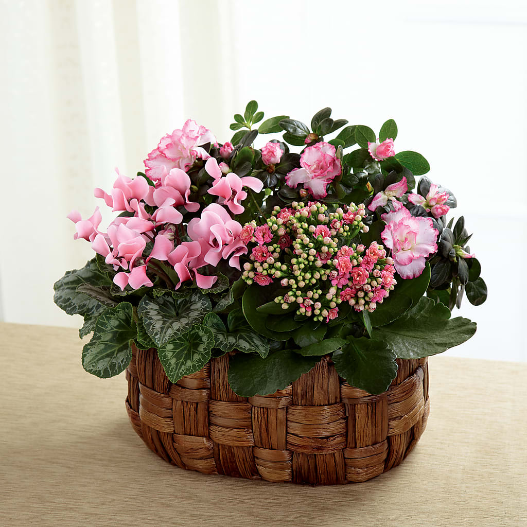 Pink Assortment – Indiana Floral/flower Boutique, Indiana PA