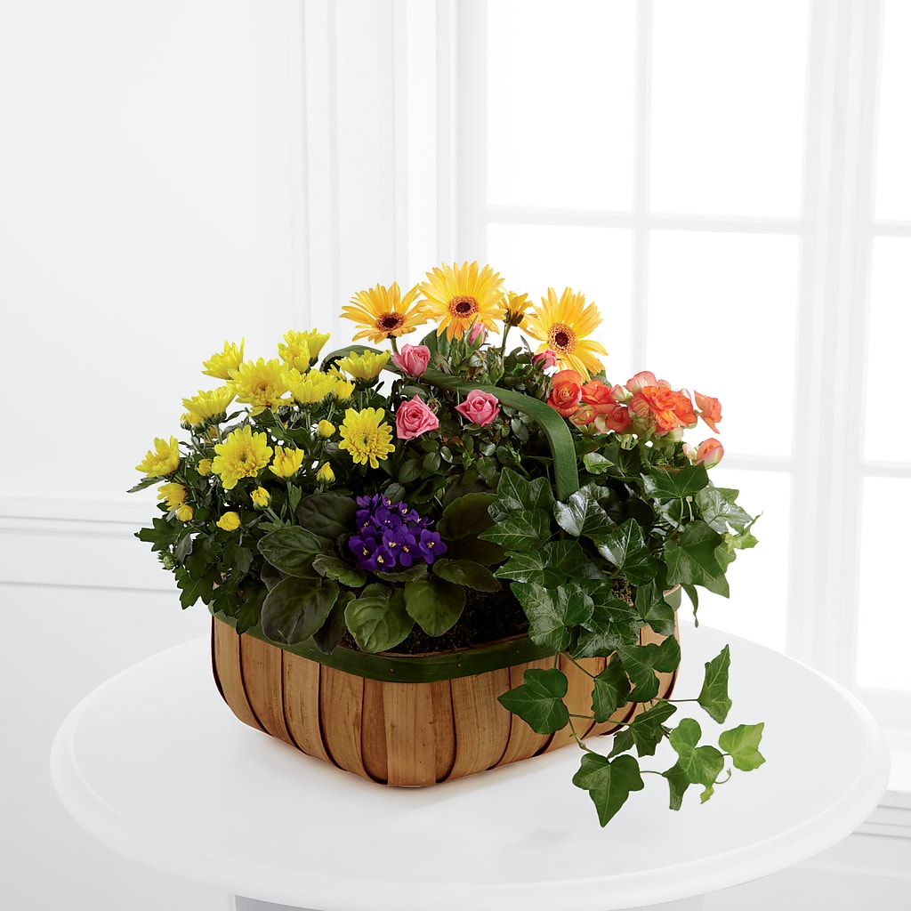 Gentle Blossoms Basket – Indiana Floral/flower Boutique, Indiana PA
