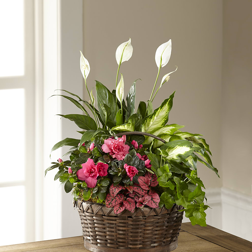 Dream in Pink Dishgarden – Indiana Floral/flower Boutique, Indiana PA