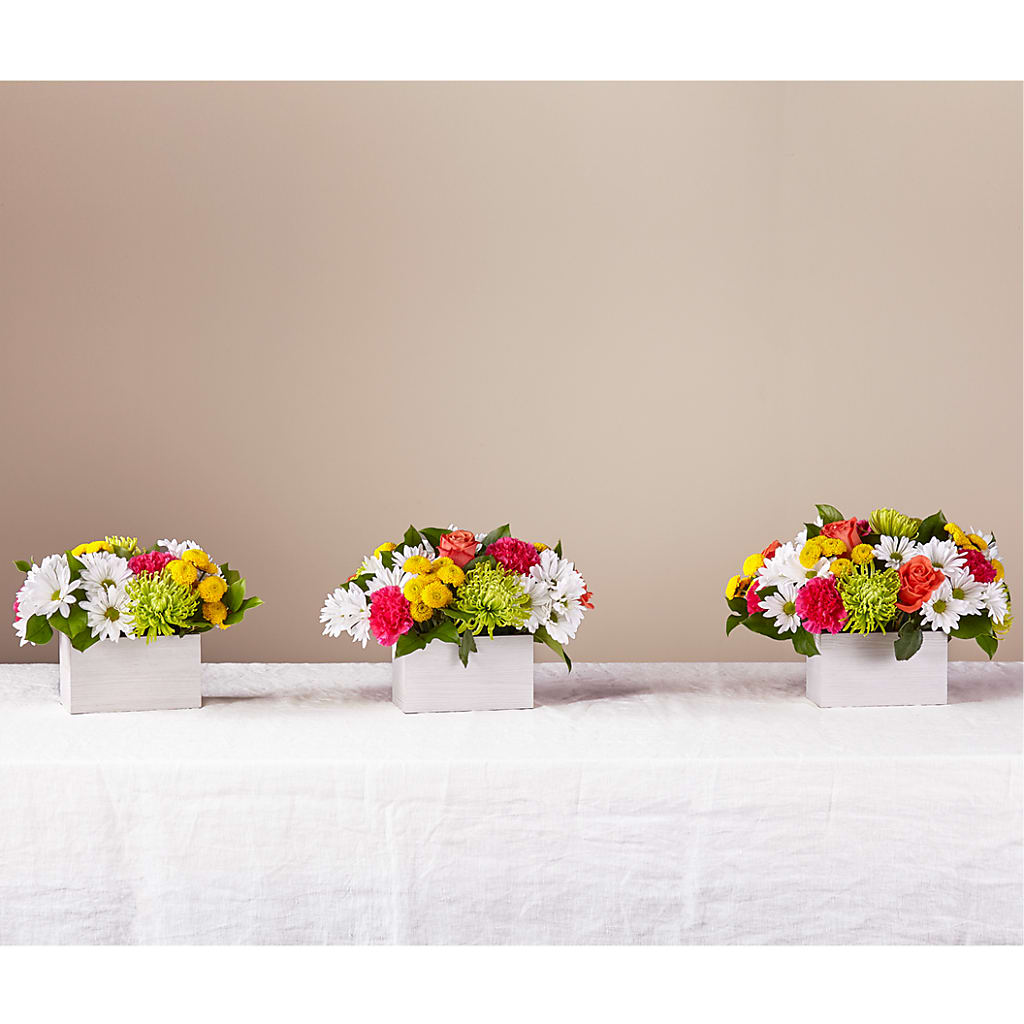 Sorbet Bouquet – Indiana Floral/flower Boutique, Indiana PA