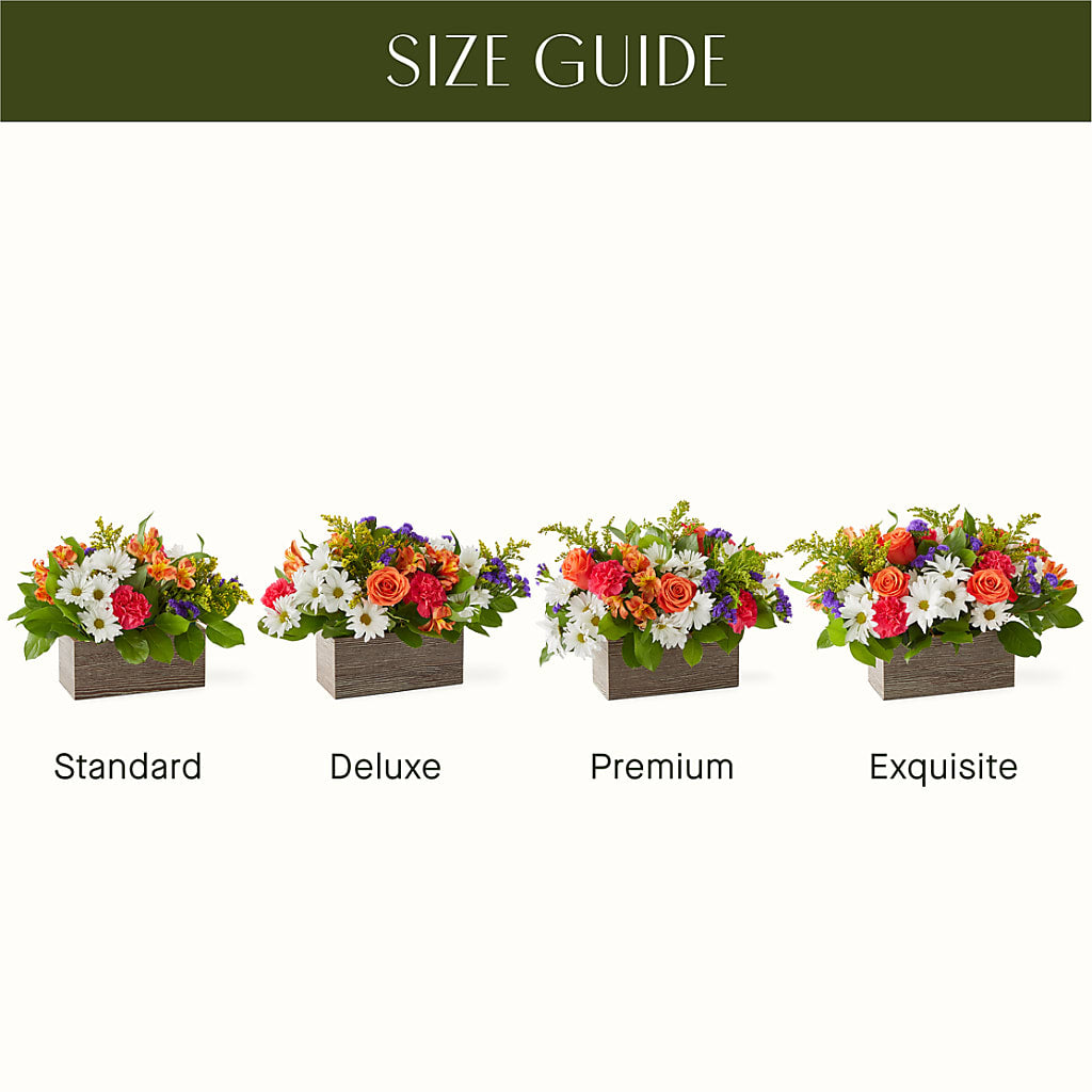 Oopsie Daisy Box Bouquet – Indiana Floral/flower Boutique, Indiana PA