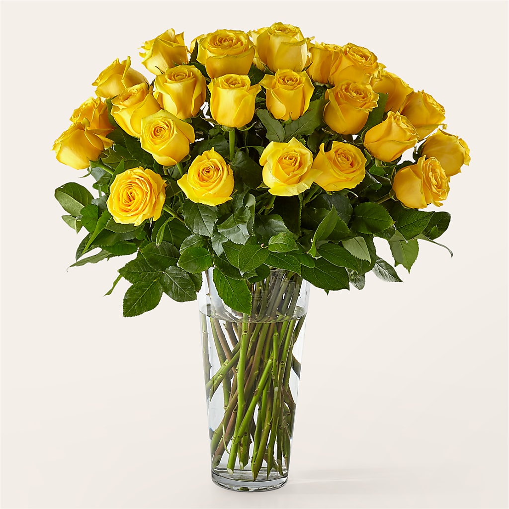 Long Stem Yellow Rose Bouquet – Indiana Floral/flower Boutique, Indiana PA