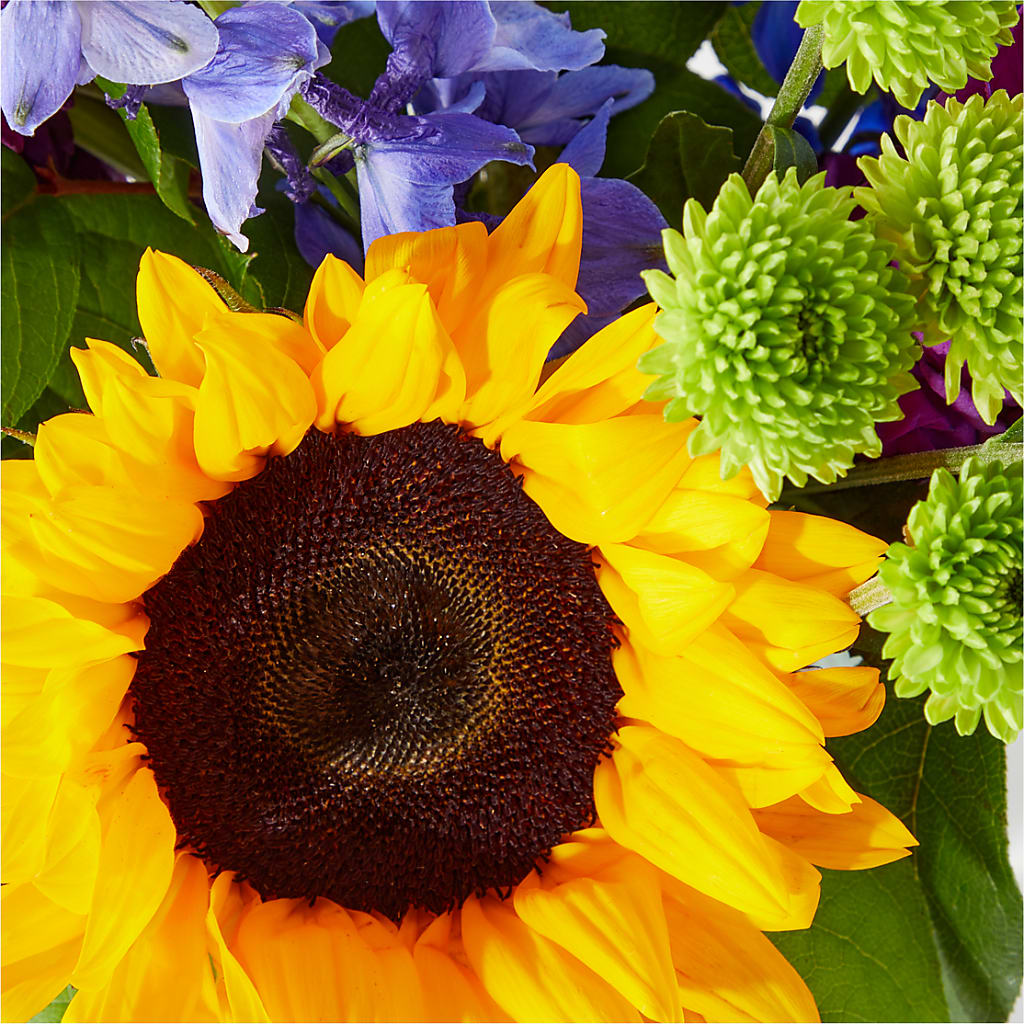 Catching Rays Bouquet – Indiana Floral/flower Boutique, Indiana PA