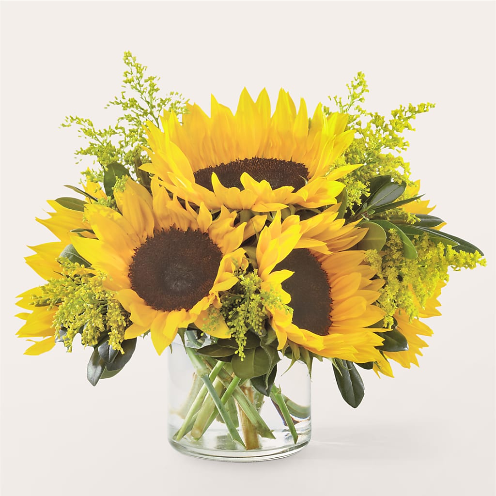 Beaming Sunflower Bouquet – Indiana Floral/flower Boutique, Indiana PA