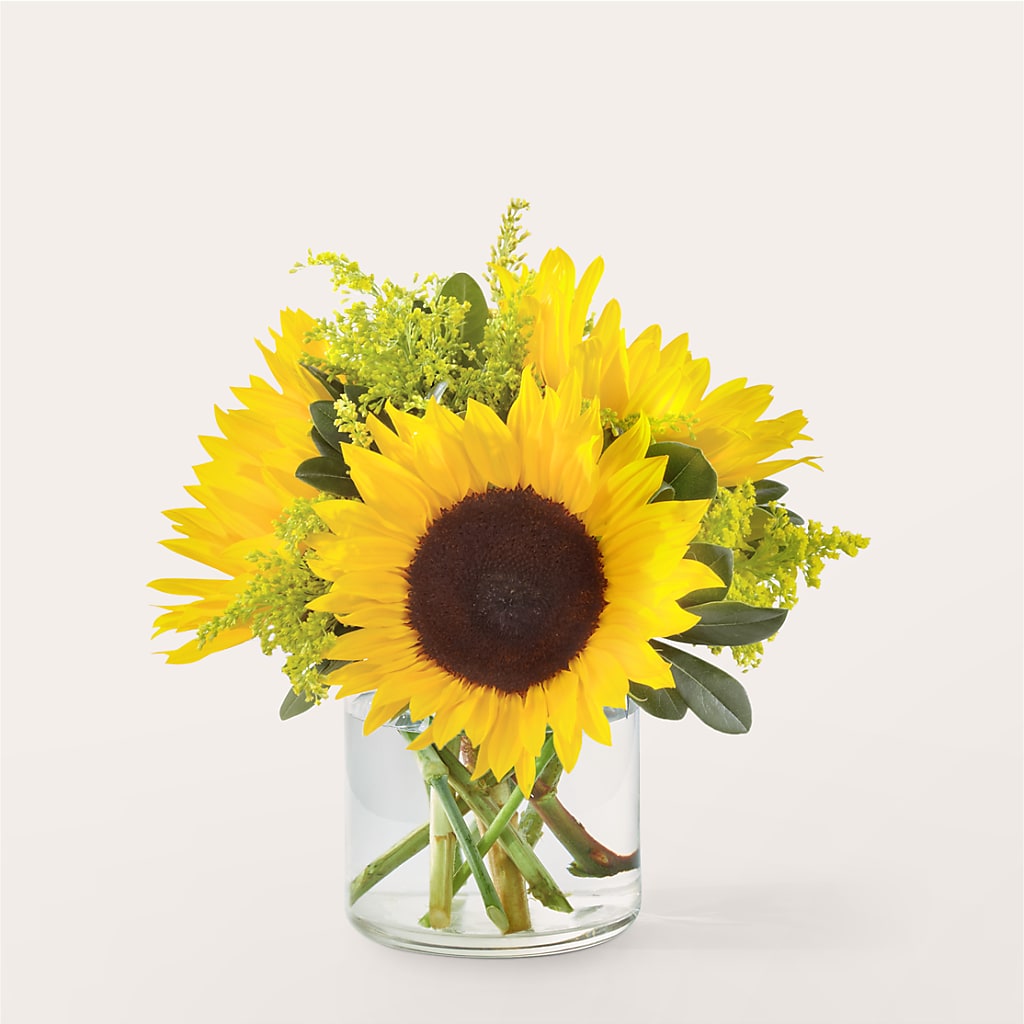 Beaming Sunflower Bouquet – Indiana Floral/flower Boutique, Indiana PA