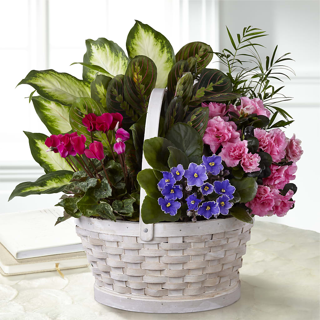 Peaceful Garden Planter – Indiana Floral/flower Boutique, Indiana PA