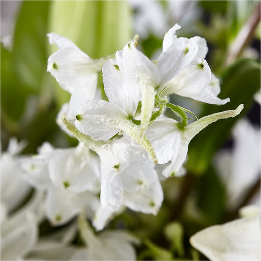 Classic Ivory – A Florist Original – Indiana Floral/flower Boutique, Indiana PA