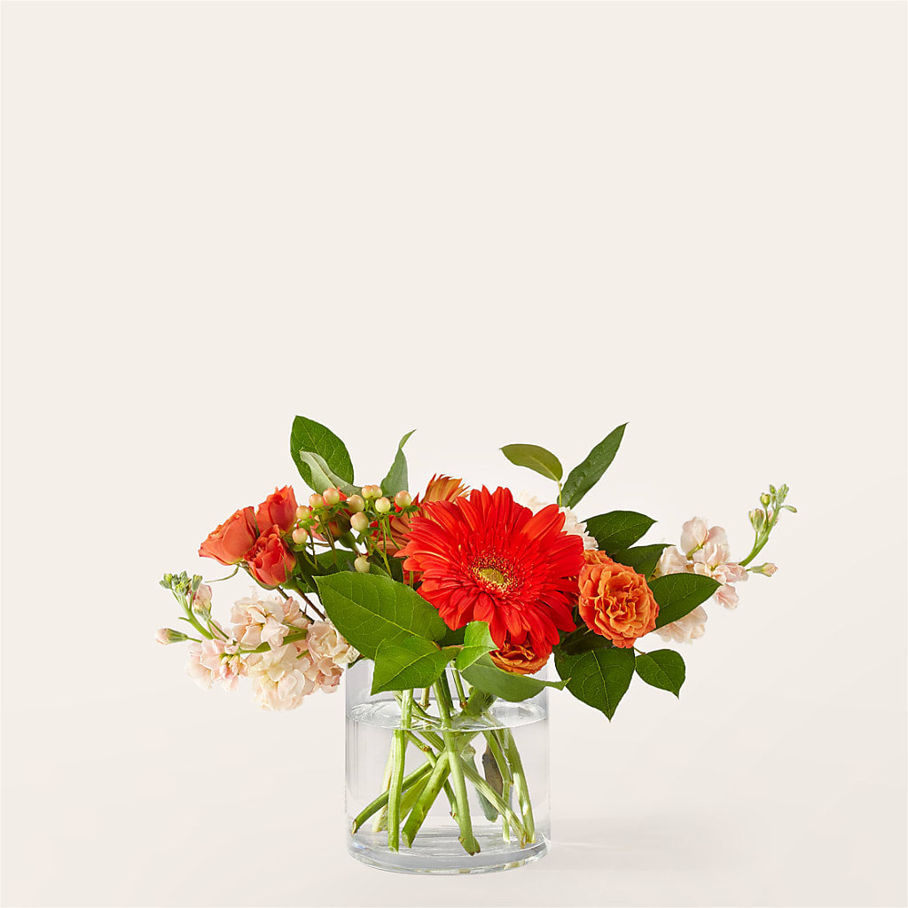 Paloma Please Bouquet – Indiana Floral/flower Boutique, Indiana PA