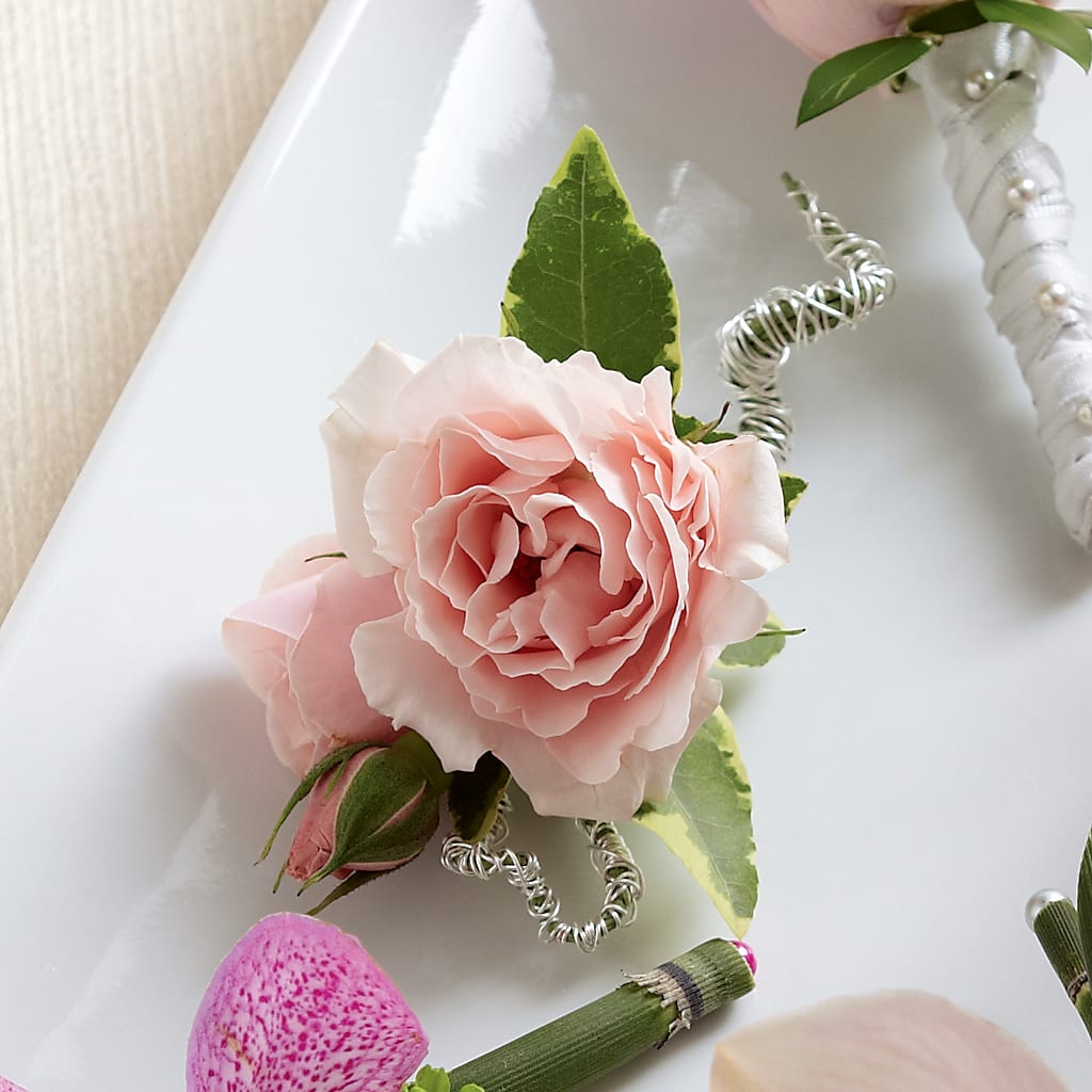 Pink Spray Rose Boutonniere – Indiana Floral/flower Boutique, Indiana PA