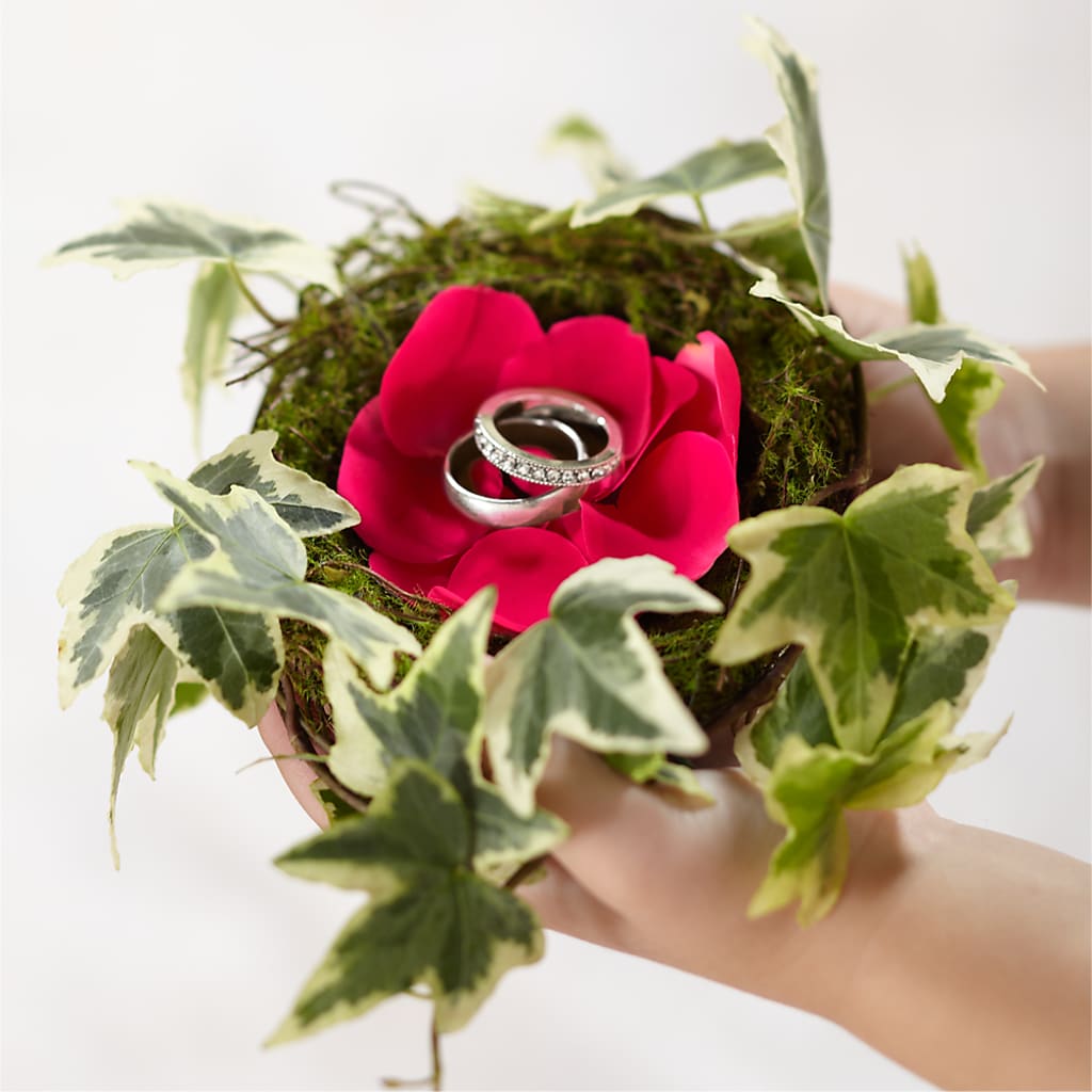 Lila Rose Ring Nest – Indiana Floral/flower Boutique, Indiana PA