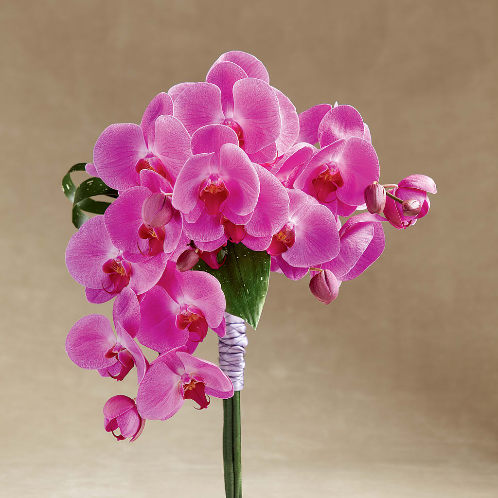 Glorious Bouquet – Indiana Floral/flower Boutique, Indiana PA