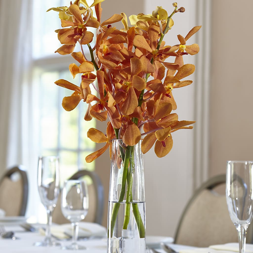 Orange Mokara Bud Vase – Indiana Floral/flower Boutique, Indiana PA
