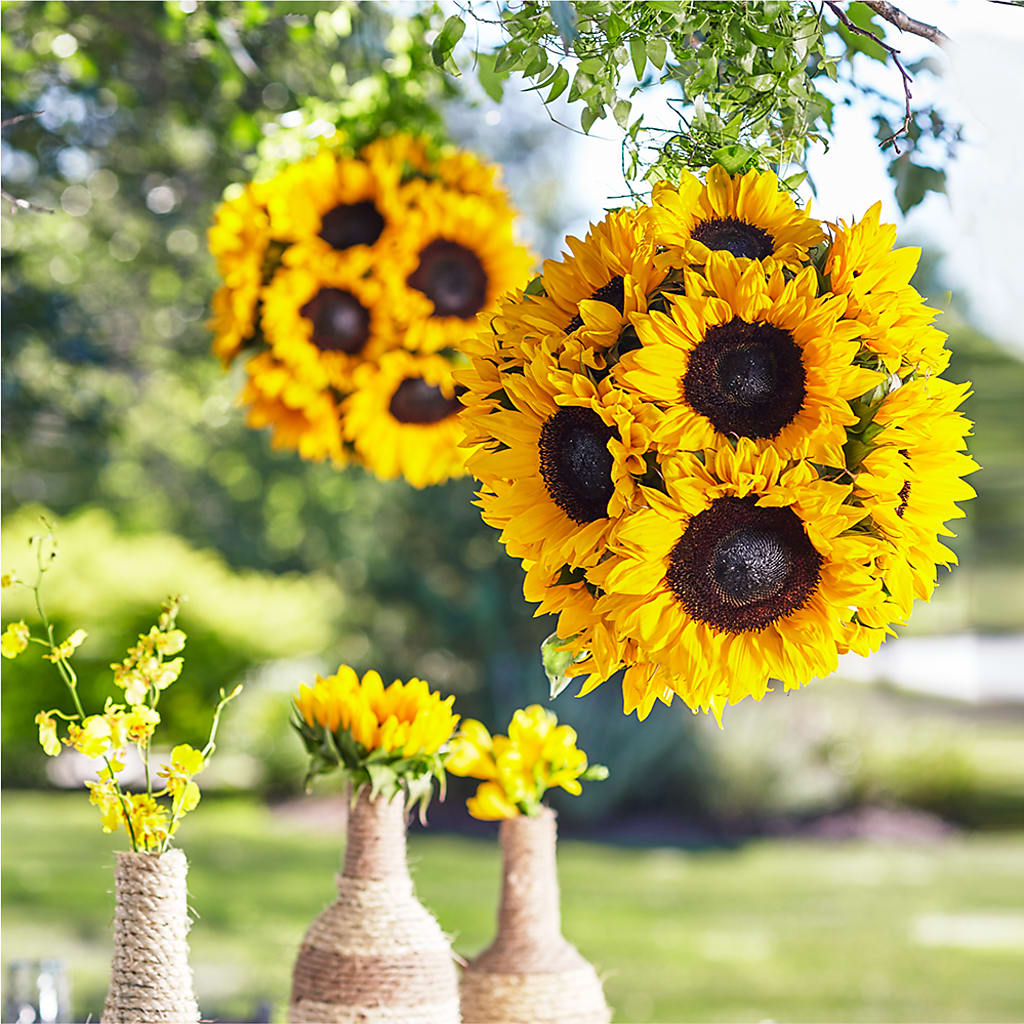 Sublime Garden Hanging Arrangement – Indiana Floral/flower Boutique, Indiana PA