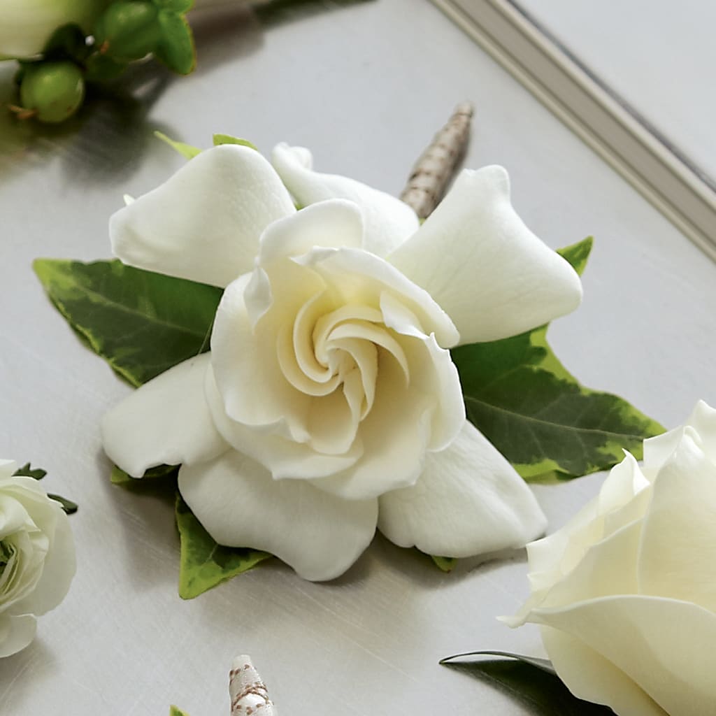 Gardenia Boutonniere – Indiana Floral/flower Boutique, Indiana PA