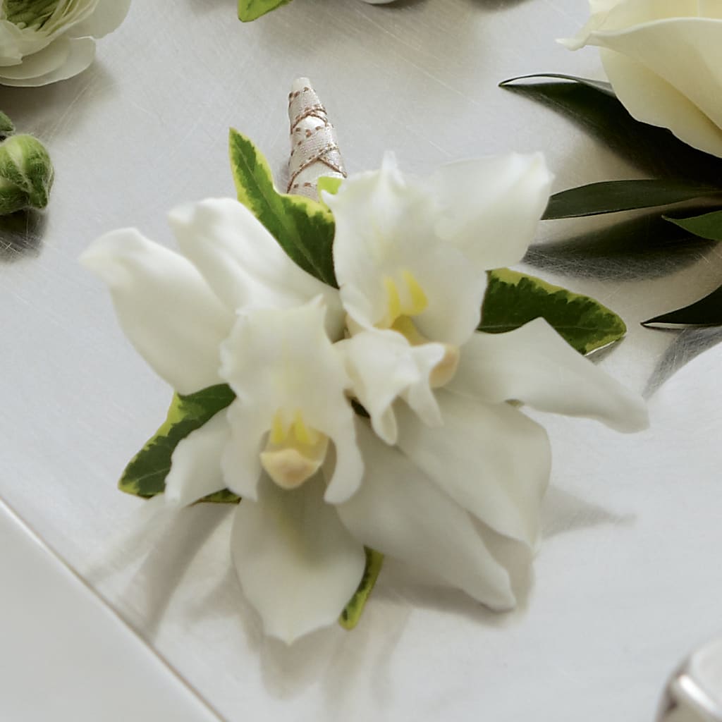 White Mini Cymbidium Boutonniere – Indiana Floral/flower Boutique, Indiana PA