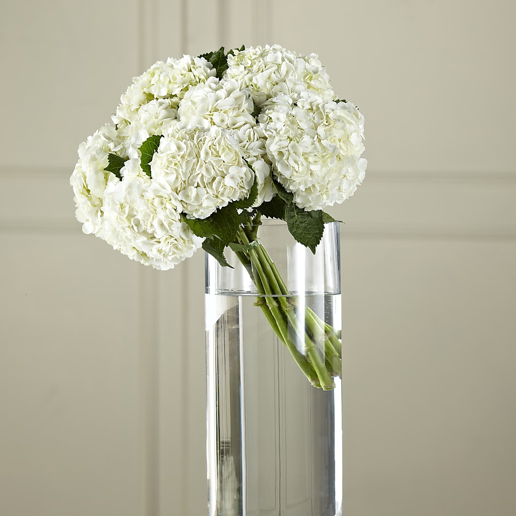 White Hydrangea Hand-Tied Bouquet – Indiana Floral/flower Boutique, Indiana PA