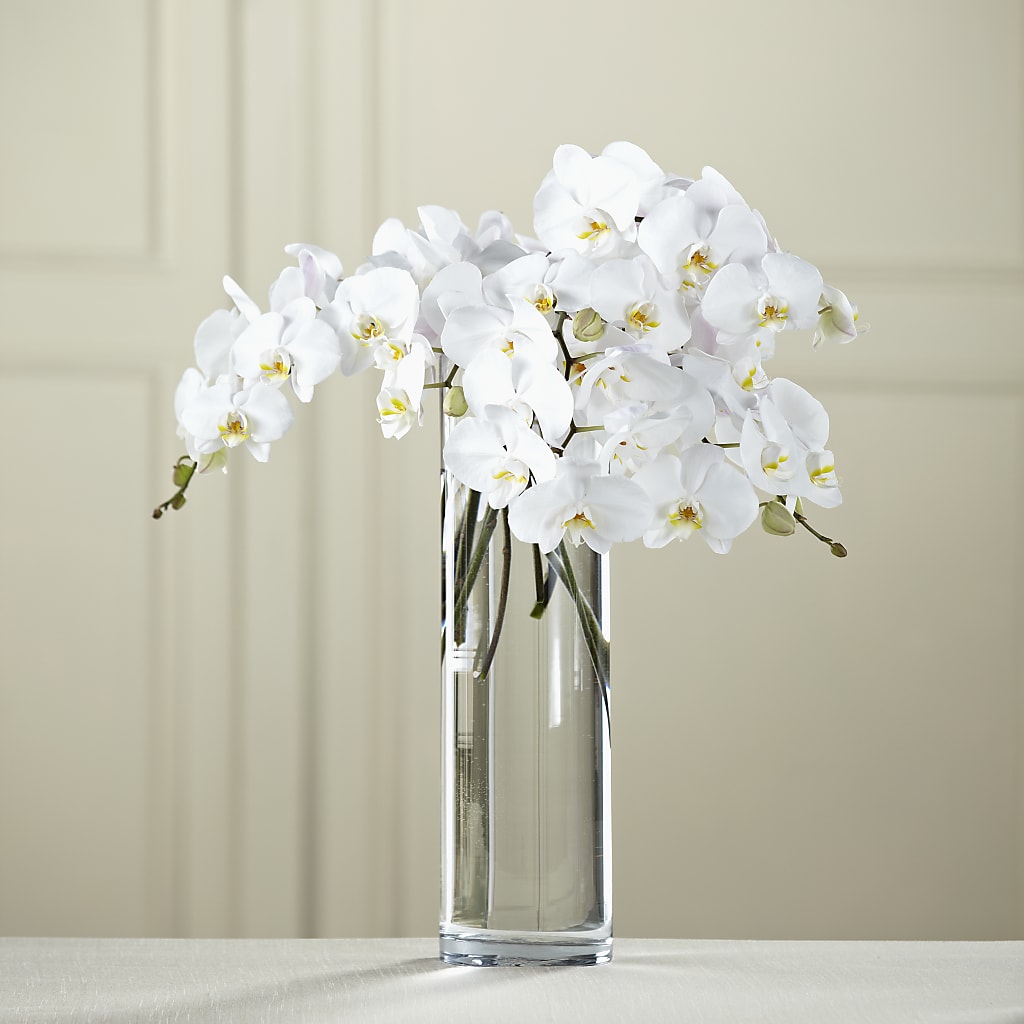 White Phalaenopsis Bouquet – Indiana Floral/flower Boutique, Indiana PA