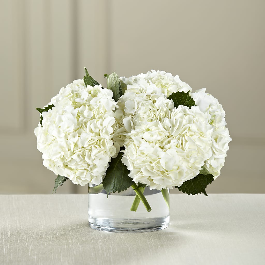 White Hydrangea Bouquet – Indiana Floral/flower Boutique, Indiana PA