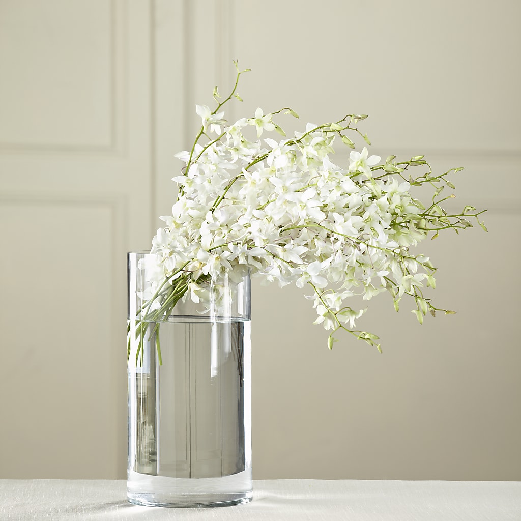 White Dendrobium Bouquet – Indiana Floral/flower Boutique, Indiana PA