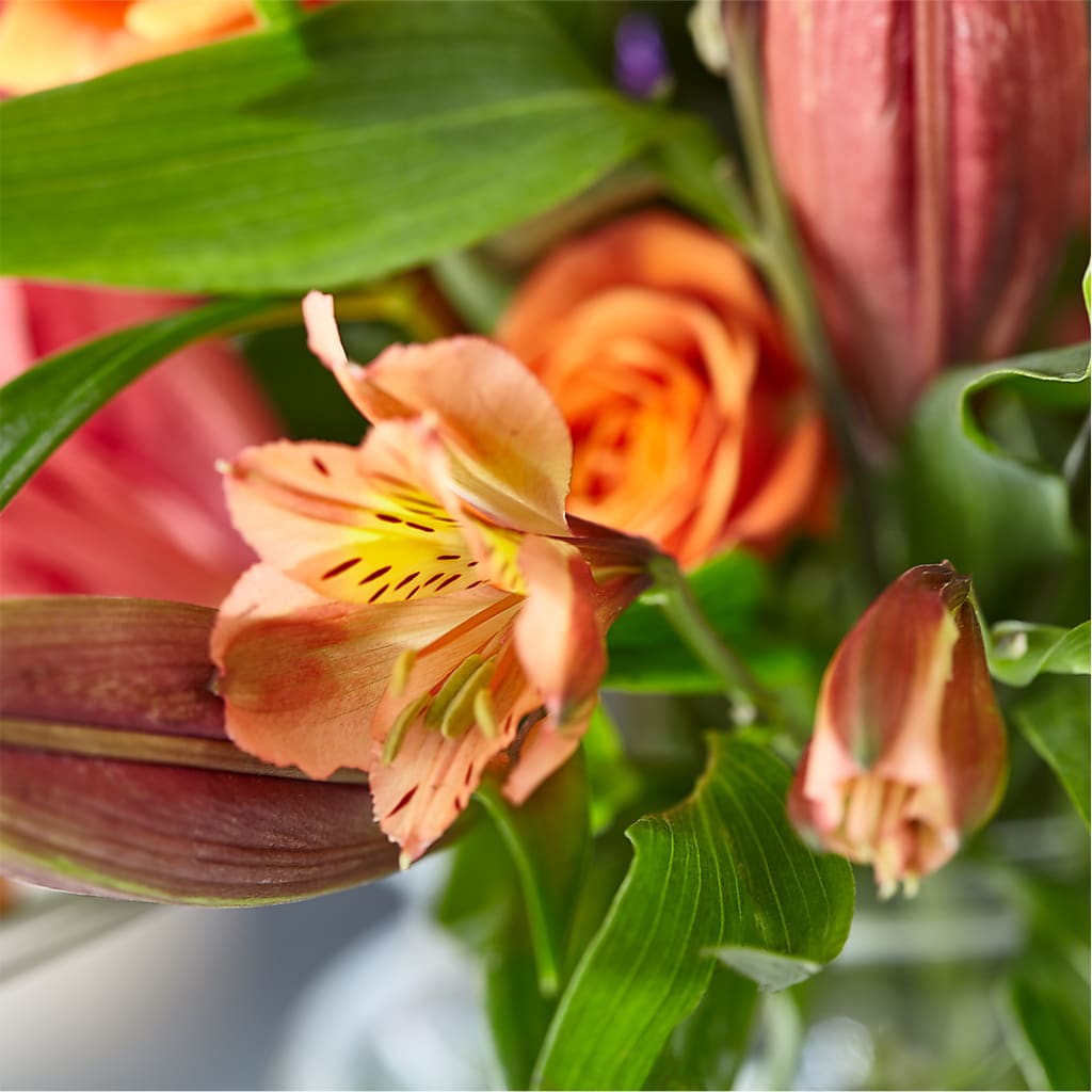 Bold & Bright – A Florist Original –  Indiana Floral/flower Boutique, Indiana PA