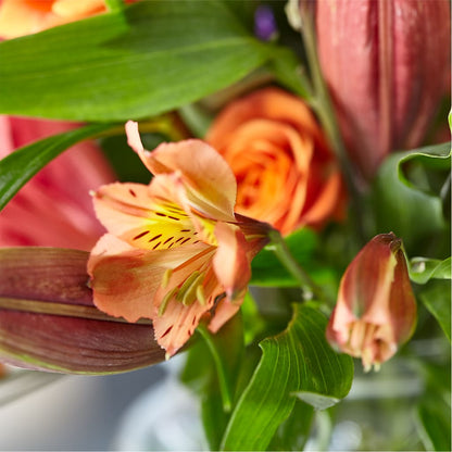 Bold & Bright – A Florist Original –  Indiana Floral/flower Boutique, Indiana PA
