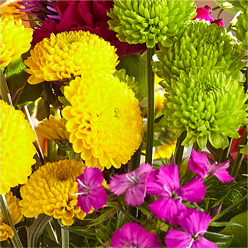 Bold & Bright – A Florist Original –  Indiana Floral/flower Boutique, Indiana PA