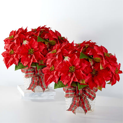Happiest Holidays Poinsettia Bundle –  Indiana Floral/flower Boutique, Indiana PA