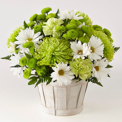 Lucky Charm Basket (Standard) –  Indiana Floral/flower Boutique, Indiana PA
