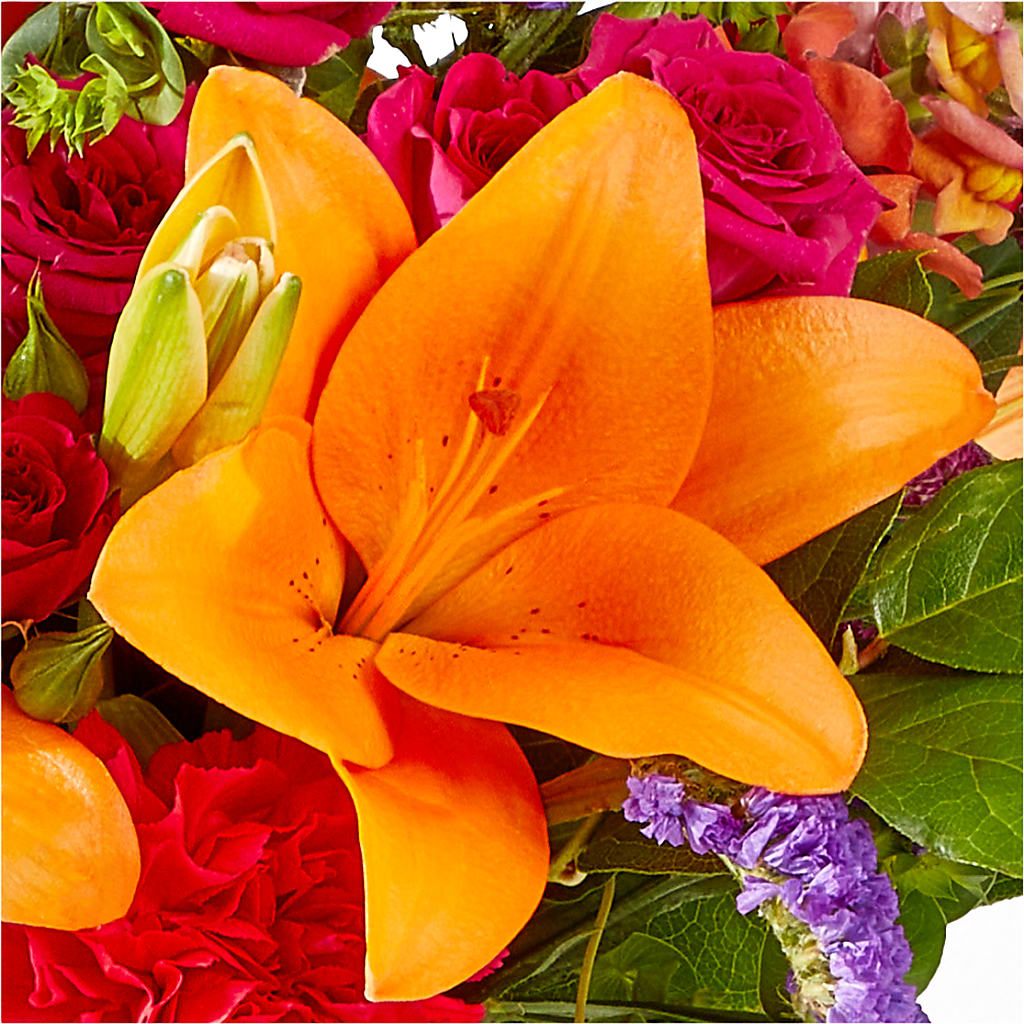Birthday Palooza Bouquet –  Indiana Floral/flower Boutique, Indiana PA