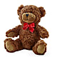 Adorable Plush Bear –  Indiana Floral/flower Boutique, Indiana PA
