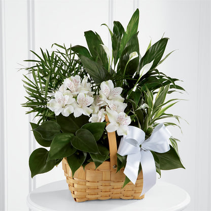 Peace & Serenity Dishgarden –  Indiana Floral/flower Boutique, Indiana PA
