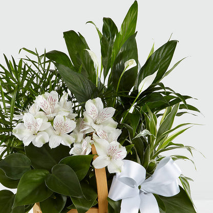 Peace & Serenity Dishgarden –  Indiana Floral/flower Boutique, Indiana PA