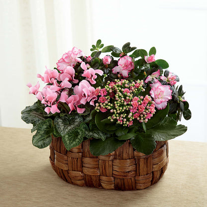 Pink Assortment –  Indiana Floral/flower Boutique, Indiana PA