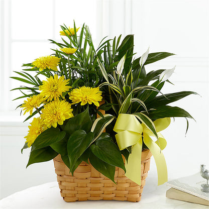 Loving Light Dishgarden –  Indiana Floral/flower Boutique, Indiana PA