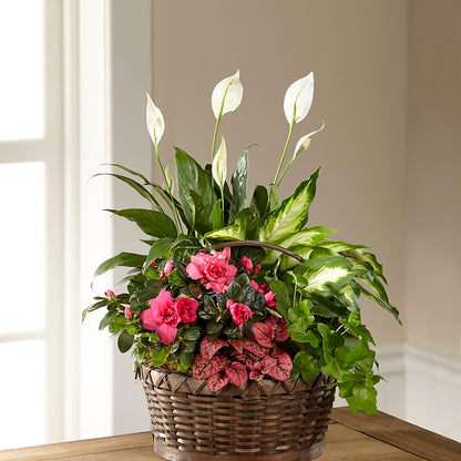 Dream in Pink Dishgarden –  Indiana Floral/flower Boutique, Indiana PA