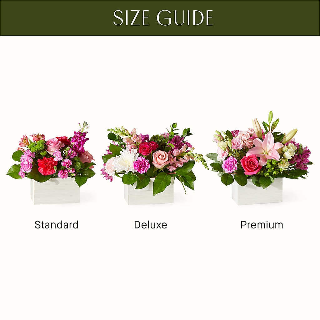 Sweetberry Box – A Florist Original –  Indiana Floral/flower Boutique, Indiana PA