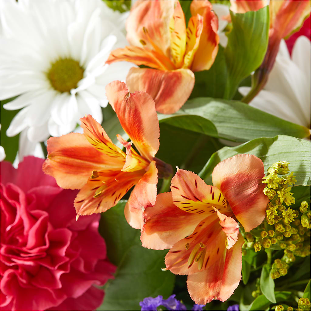 Oopsie Daisy Box Bouquet –  Indiana Floral/flower Boutique, Indiana PA