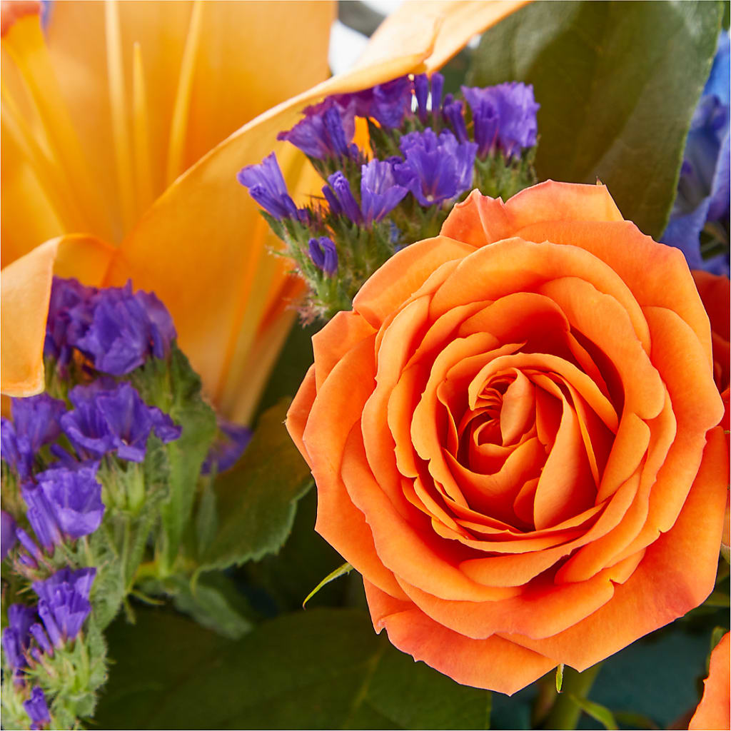 Radiant Citrus Box Bouquet –  Indiana Floral/flower Boutique, Indiana PA