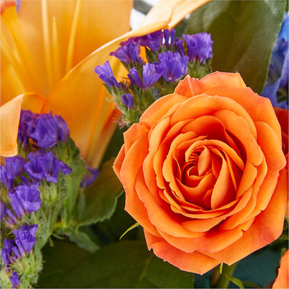 Radiant Citrus Box Bouquet –  Indiana Floral/flower Boutique, Indiana PA