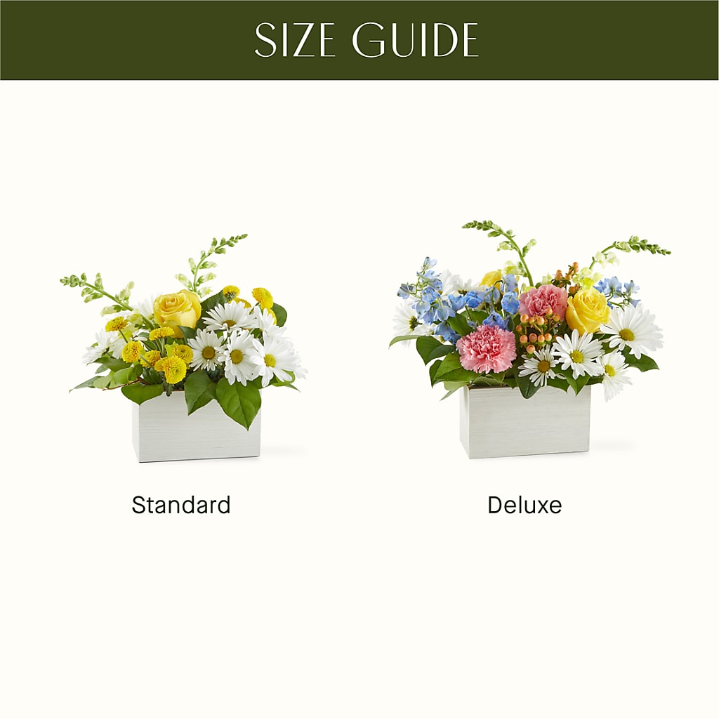 Sun Salutation Box Bouquet –  Indiana Floral/flower Boutique, Indiana PA