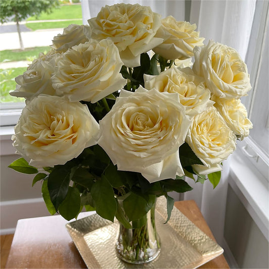 Long Stem Yellow Rose Bouquet –  Indiana Floral/flower Boutique, Indiana PA