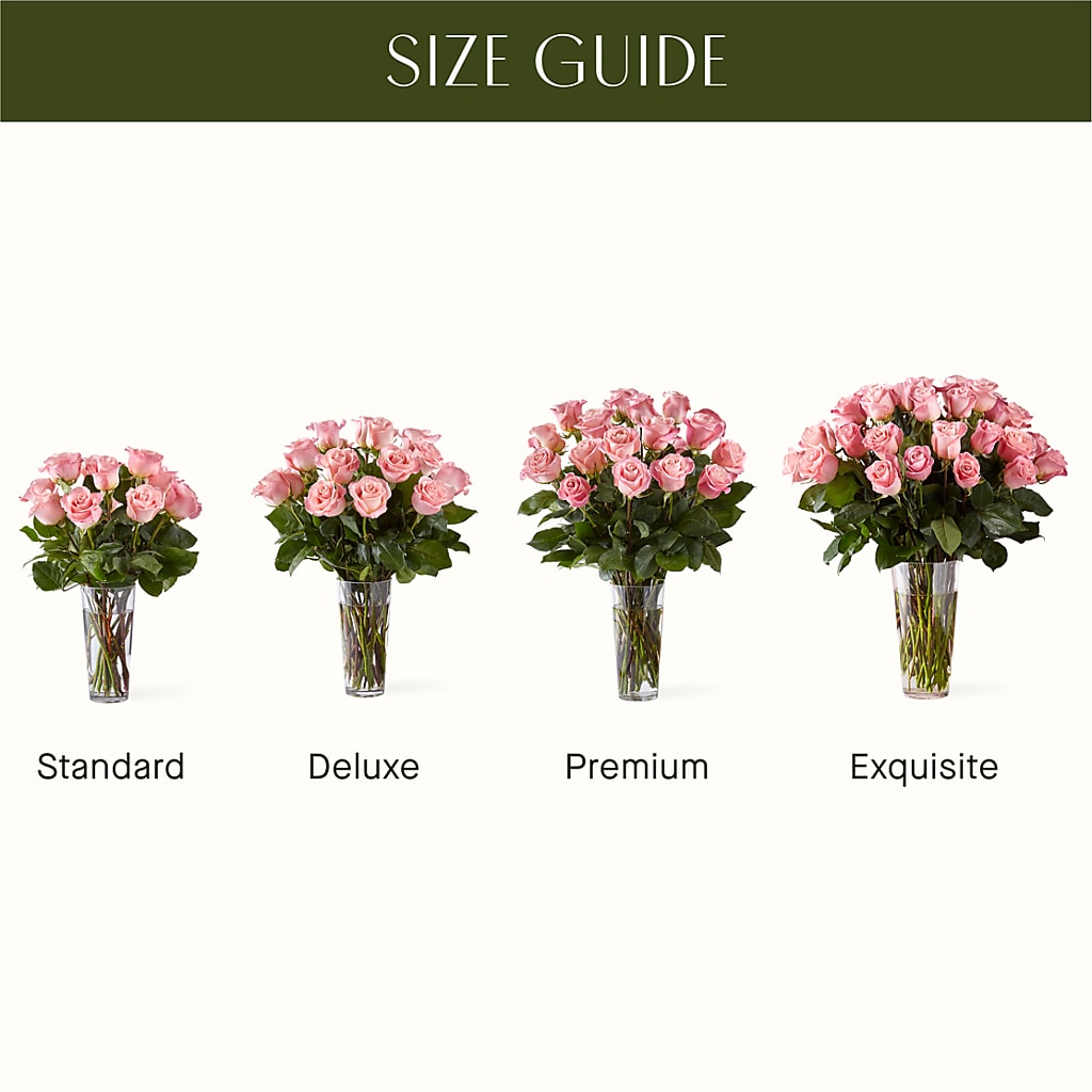 Long Stem Pink Rose Bouquet –  Indiana Floral/flower Boutique, Indiana PA