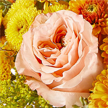 Peachy Pumpkin –  Indiana Floral/flower Boutique, Indiana PA