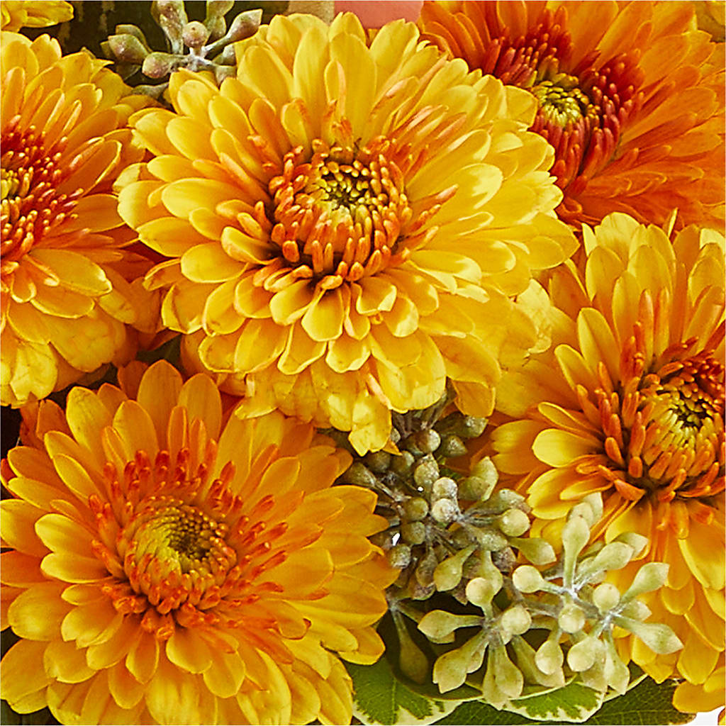 Peachy Pumpkin –  Indiana Floral/flower Boutique, Indiana PA