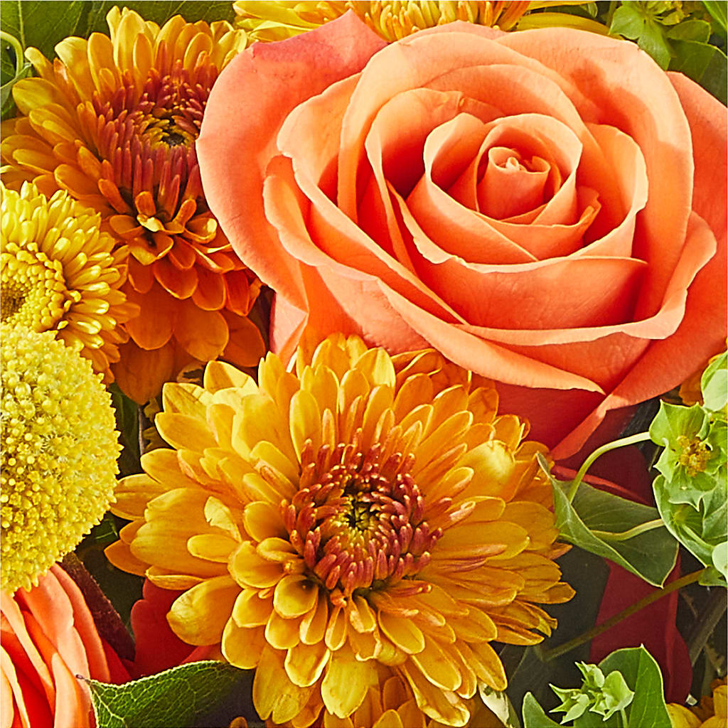 Gourdgeous Pumpkin –  Indiana Floral/flower Boutique, Indiana PA