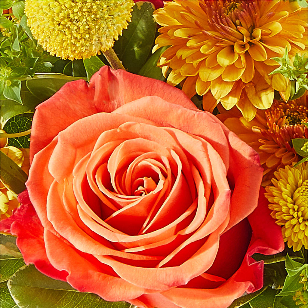 Gourdgeous Pumpkin –  Indiana Floral/flower Boutique, Indiana PA
