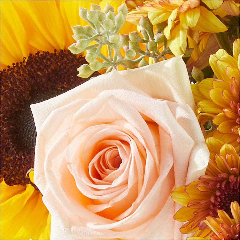 Pumpkin to Talk About Bouquet –  Indiana Floral/flower Boutique, Indiana PA