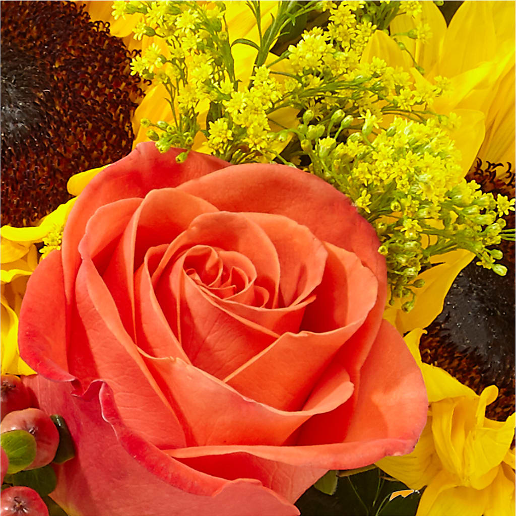 Pick of the Patch Pumpkin Bouquet –  Indiana Floral/flower Boutique, Indiana PA