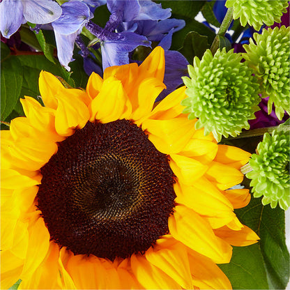 Catching Rays Bouquet –  Indiana Floral/flower Boutique, Indiana PA